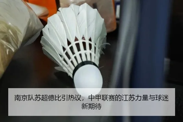 nan-jing-dui-su-chao-de-bi-yin-re-yi-zhong-jia-lian-sai-de-jiang-su-li-liang-yu-qiu-mi-xin-qi-dai-2-125.jpg